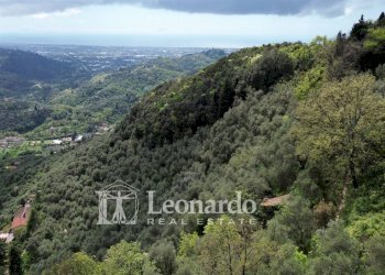 Foto 2 - Agricultural land Greppolungo, Camaiore - photo 2