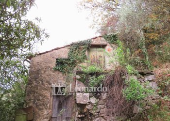 Foto 6 - Agricultural land Greppolungo, Camaiore - photo 6