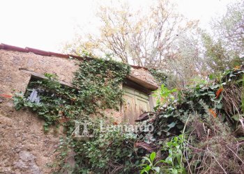 Foto 7 - Agricultural land Greppolungo, Camaiore - photo 7