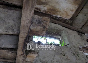 Foto 8 - Agricultural land Greppolungo, Camaiore - photo 8