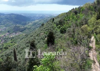 Foto 10 - Agricultural land Greppolungo, Camaiore - photo 9