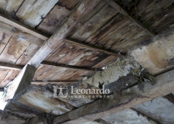 Foto 11 - Agricultural land Greppolungo, Camaiore - photo 10