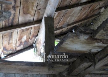 Foto 12 - Agricultural land Greppolungo, Camaiore - photo 11