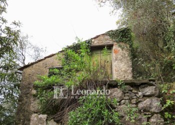 Foto 14 - Agricultural land Greppolungo, Camaiore - photo 13