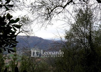 Foto 16 - Agricultural land Greppolungo, Camaiore - photo 15