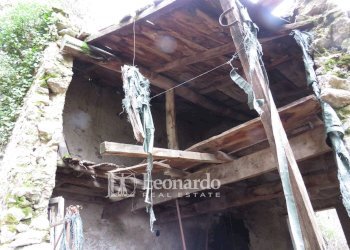 Foto 17 - Agricultural land Greppolungo, Camaiore - photo 16