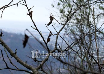 Foto 21 - Agricultural land Greppolungo, Camaiore - photo 20