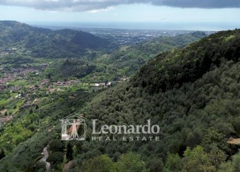 Foto 24 - Agricultural land Greppolungo, Camaiore - photo 23