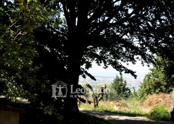 Foto 6 - Independent house Via di Casesi, Massarosa - photo 6