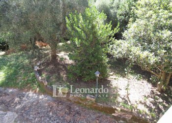 Foto 22 - Independent house Via di Casesi, Massarosa - photo 20