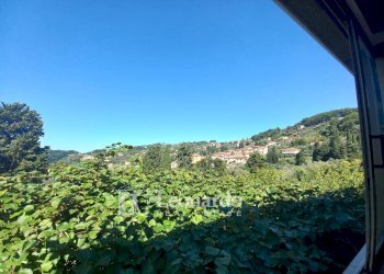 Foto 37 - Independent house Via di Casesi, Massarosa - photo 35