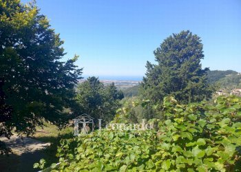 Foto 40 - Independent house Via di Casesi, Massarosa - photo 38