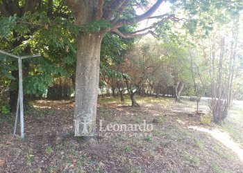 Foto 43 - Independent house Via di Casesi, Massarosa - photo 41