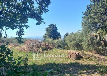 Foto 44 - Independent house Via di Casesi, Massarosa - photo 42