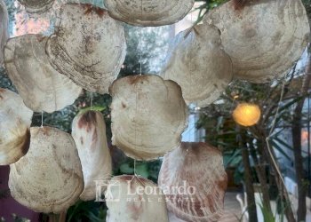 Foto 38 - Independent house via machiavelli, Viareggio - photo 37