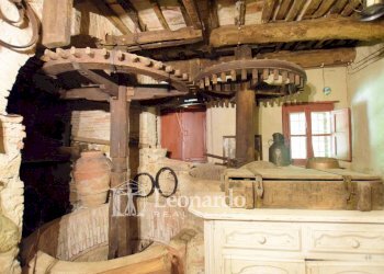 Foto 22 - Villa via seimiglia, Camaiore - foto 21