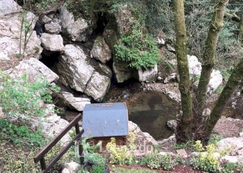 Foto 25 - Villa via seimiglia, Camaiore - foto 24