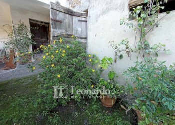 Foto 13 - Independent house Via Carignoni, Camaiore - photo 13