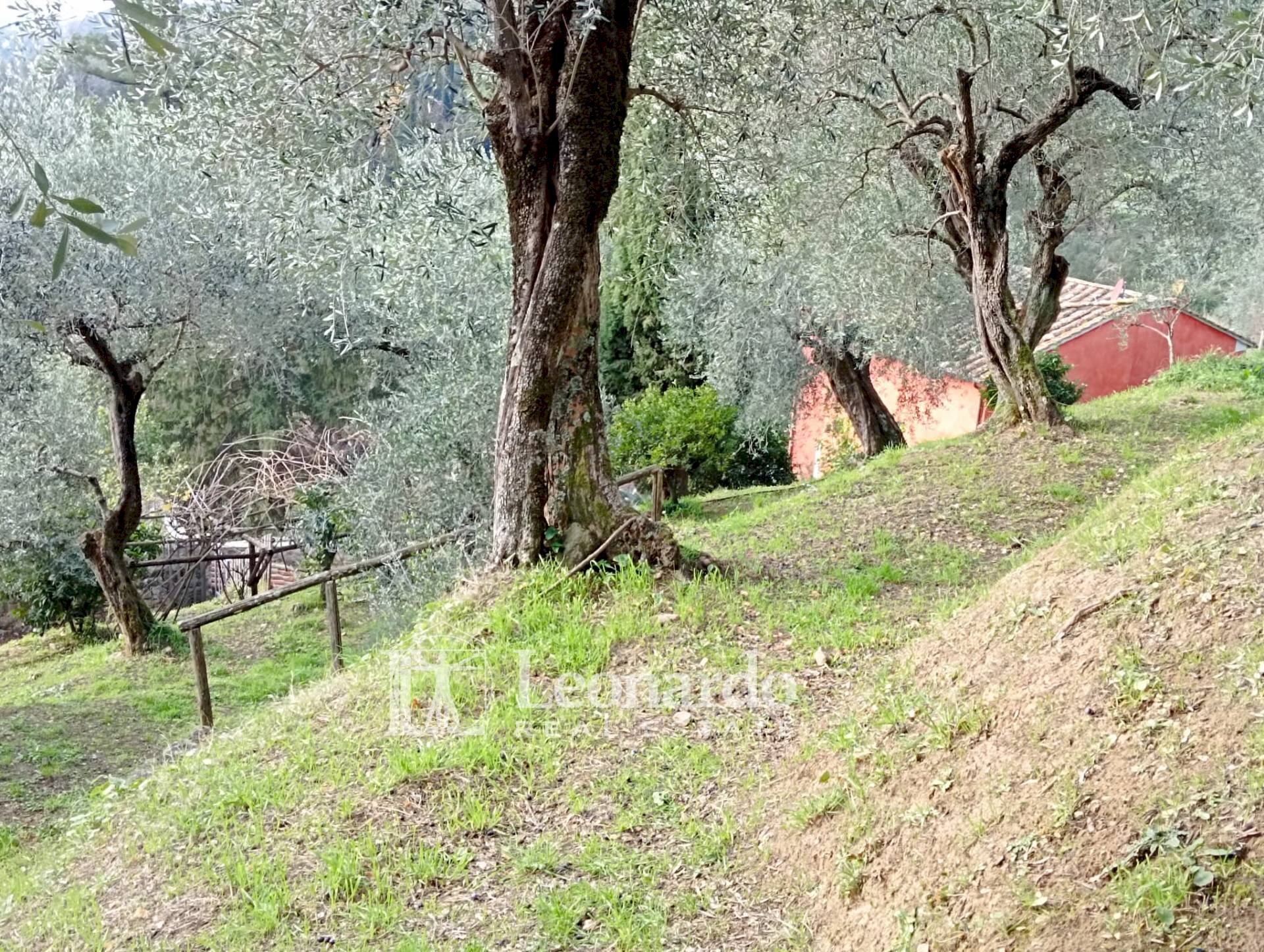 Foto 3 - Casa indipendente Via delle Selvarelle, Massarosa - foto 3