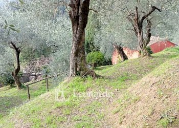 Foto 3 - Casa indipendente Via delle Selvarelle, Massarosa - foto 3