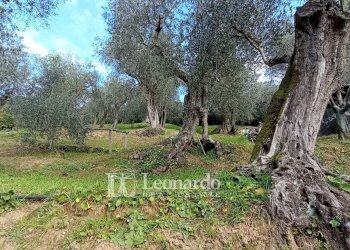 Foto 4 - Casa indipendente Via delle Selvarelle, Massarosa - foto 4