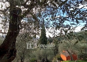 Foto 5 - Casa indipendente Via delle Selvarelle, Massarosa - foto 5