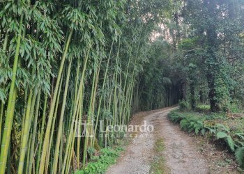 Foto 37 - Villa via Carignoni, Camaiore - foto 37