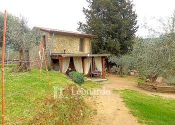 Foto 1 - Agricultural land Via di rigoli Pontemazzori, Camaiore - photo 1