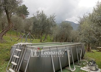 Foto 12 - Agricultural land Via di rigoli Pontemazzori, Camaiore - photo 11