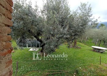 Foto 17 - Agricultural land Via di rigoli Pontemazzori, Camaiore - photo 16