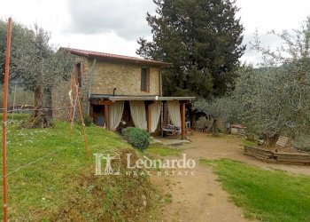 Foto 18 - Agricultural land Via di rigoli Pontemazzori, Camaiore - photo 17