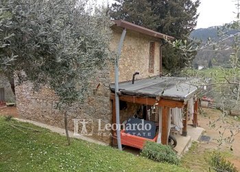 Foto 19 - Agricultural land Via di rigoli Pontemazzori, Camaiore - photo 18