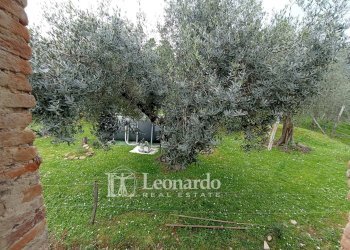 Foto 21 - Agricultural land Via di rigoli Pontemazzori, Camaiore - photo 20