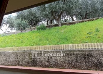 Foto 26 - Villa Via Bicchio, Massarosa - foto 26