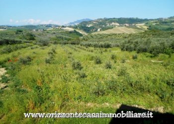 Foto 44 - Villa Appignano del Tronto - foto 44