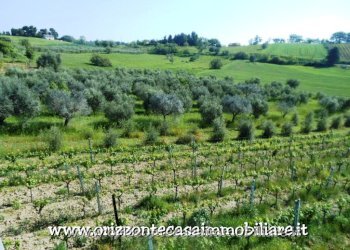 Foto 45 - Villa Appignano del Tronto - foto 45