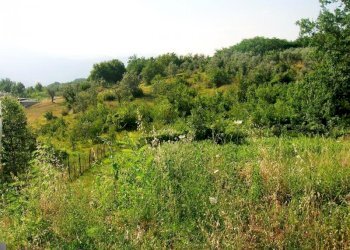 Foto 1 - Terreno edificabile CERVARO, VIA VALLE, Cervaro - foto 1