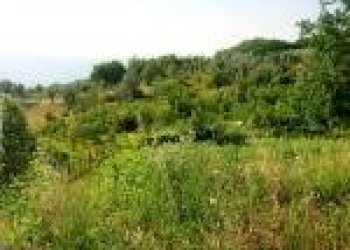 Foto 19 - Terreno edificabile CERVARO, VIA VALLE, Cervaro - foto 19