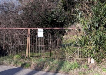 Foto 5 - Magazzino VIA LUNGO RAPIDO, Sant'Elia Fiumerapido - foto 5