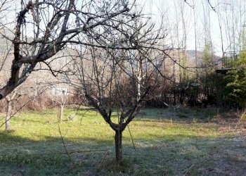 Foto 10 - Magazzino VIA LUNGO RAPIDO, Sant'Elia Fiumerapido - foto 10