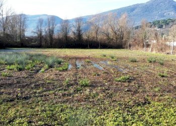 Foto 13 - Magazzino VIA LUNGO RAPIDO, Sant'Elia Fiumerapido - foto 13