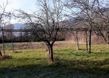 Foto 14 - Magazzino VIA LUNGO RAPIDO, Sant'Elia Fiumerapido - foto 14