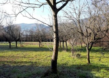 Foto 15 - Magazzino VIA LUNGO RAPIDO, Sant'Elia Fiumerapido - foto 15