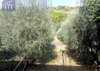 Foto 17 - Villa via chiave gelarde, Sant'Elia Fiumerapido - foto 17