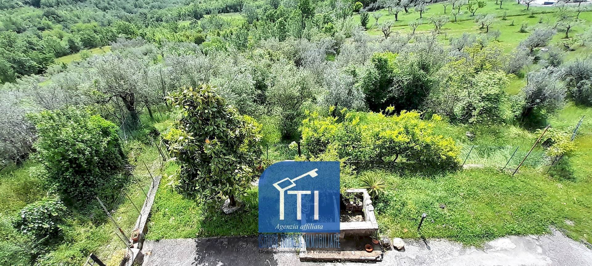 Foto 3 - Terreno agricolo via mulini, Cervaro - foto 3