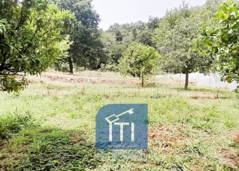 Foto 12 - Villa via cese, Sant'Elia Fiumerapido - foto 12