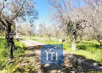 Foto 3 - Villa Via Noceromana, Cervaro - foto 3