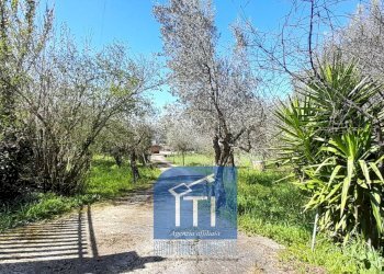 Foto 34 - Villa Via Noceromana, Cervaro - foto 34