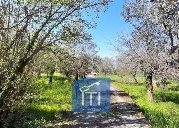 Foto 41 - Villa Via Noceromana, Cervaro - foto 41