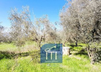 Foto 42 - Villa Via Noceromana, Cervaro - foto 42